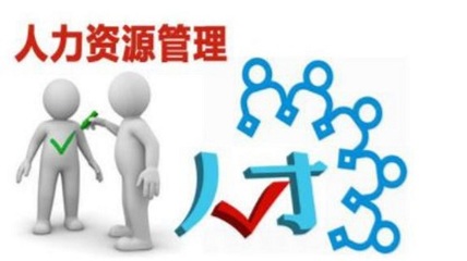 人力资源管理专业与人力资源服务 从理论到实践的全面解析